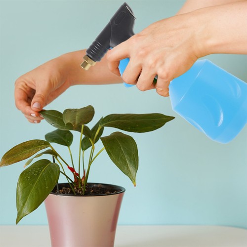 Gourde vaporisateur - gourde,
