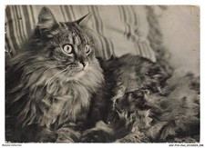 ASVP14-1098-CHAT - Persan