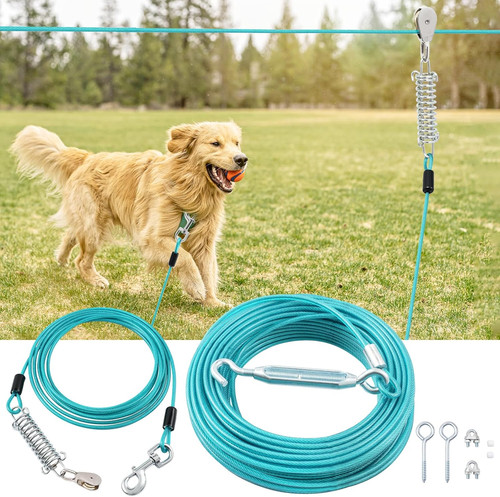 Chemin couloir pour - pour, chiens
