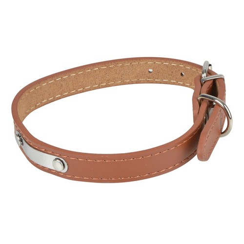 Collier pour chien cuir - pour,