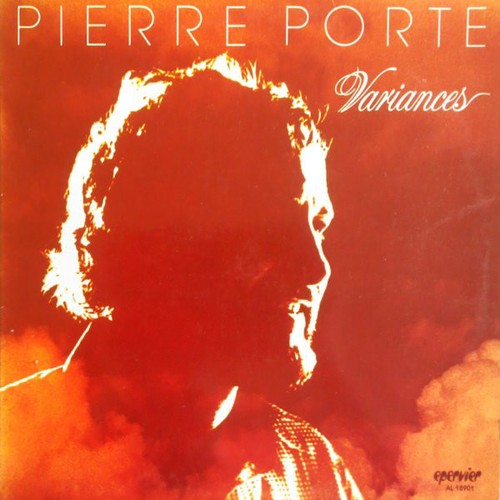 Vinyle pierre porte - vinyle,
