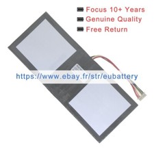 Neuf Li-Polymer Batterie