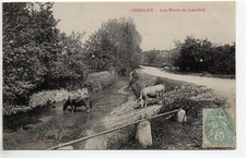 CHESLEY Aube CPA 10 les bords du Landion vaches