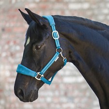 Licol en Nylon Avec Doublure