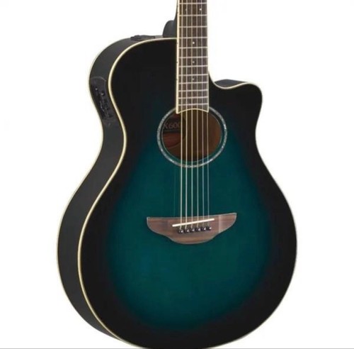 Guitare électrique acoustique