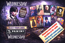 PANINI WEDNESDAY Netflix