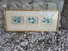 Ancien Cadre Souvenir Du Tonkin Daté 1899