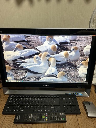 Sony vaio vpcl119fj - vaio,