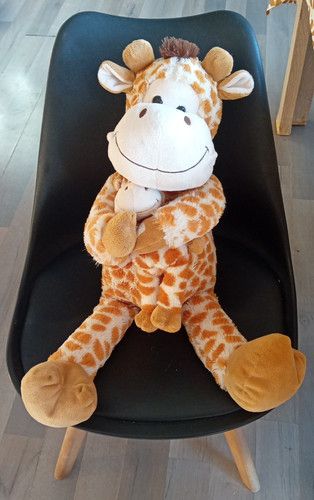 Pgm kellytoy grande peluche - pgm/,