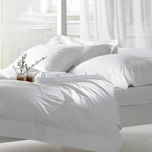 100 pur coton égyptien - 100,