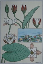 MP VERNEUIL 1896 La Plante