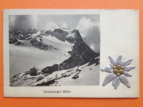 Cpa superbe edeilweiss - cpa,