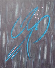 André VERDET : Le perroquet