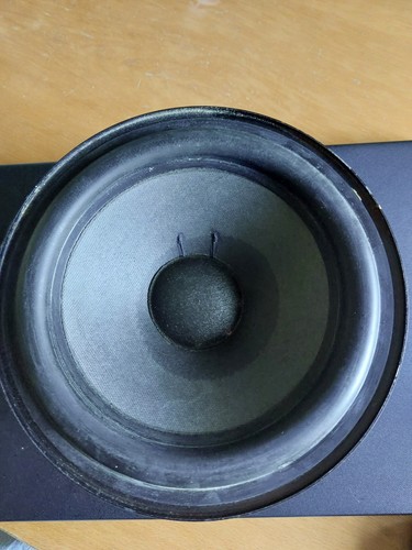 One beovox s45 - one,