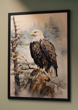 🖼️ Affiche aigle