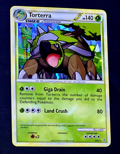 2010 pokemon torterra - pokemon,