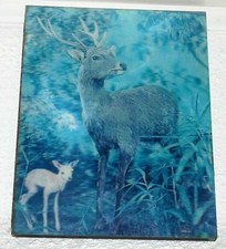 VINTAGE  ANNEE 1970 ANCIEN CADRE 3D CERF ET FAON  34 X 26.5 CM environ   850 gra