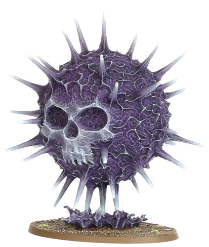 Purple sun shyish malign - purple, of