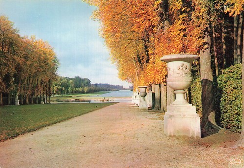 Versailles tapis vert et - tapis,