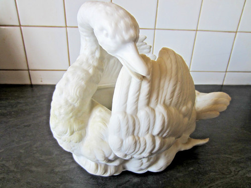 Imposant cygne blanc - cygne,