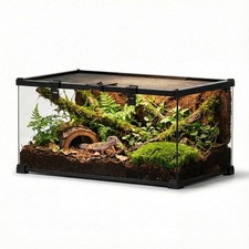 20"x12"x10" Mini Reptile Glass