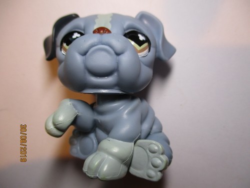 Petshop chien bouledogue - petshop,