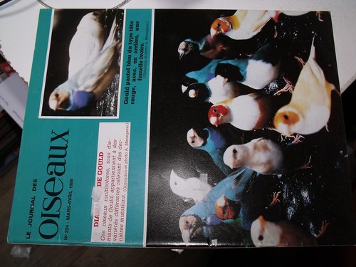 µµ journal des oiseaux - µµ,
