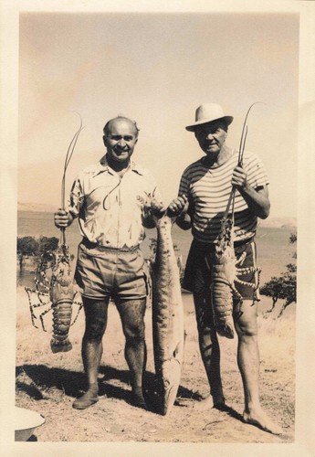 Ancienne photographie - ancienne,