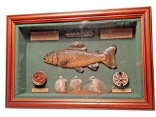 Vitrine Truite Arc-En-Ciel En