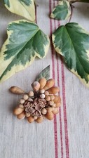 Ancien petit bouquet mariee - de,