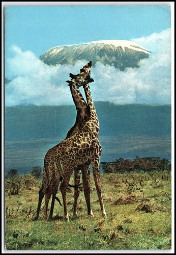 Vintage kenya tanzanie carte - vintage,