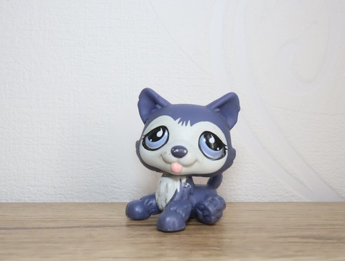 Littlest petshop husky 900 - petshop,