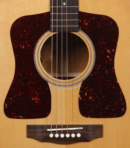 Set double pickguard type - set,