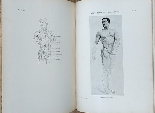Paul richer anatomie - paul,