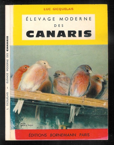 Luc gicquelais elevage - luc,
