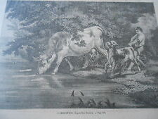 Gravure 1862 - L'abreuvoir La