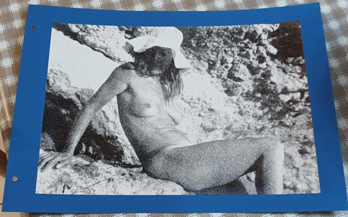 Ancienne grande photo art - ancienne, nu