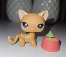✨️LPS LITTLEST PETSHOP