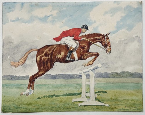 Jockey cheval équitation - jockey,