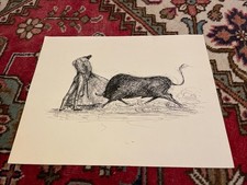 Toréador Et Taureau Scène De