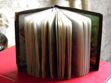 LOT DE 24 CARTES MEDAILLES RELIGIEUSES AVEC PRIERES AU RECTO DANS UN PORTE CARTE