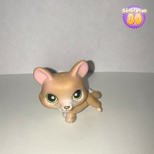 Littlest petshop corgi - littlest, violet
