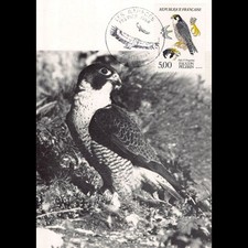 Carte Maximum v2 - N° 2340 -