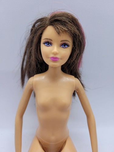 2010 barbie sisters - 2010,