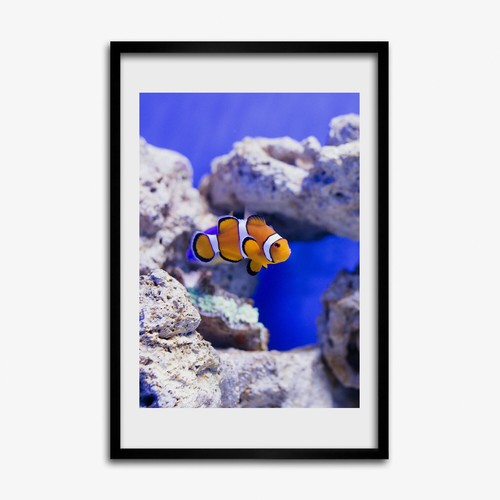 Tulup photo 40x60cm mdf cadre - tulup,