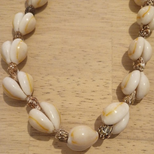 Grand collier coquillages - grand, en