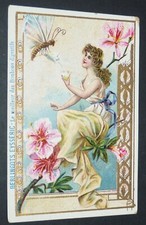 CHROMO 1900-1914 BERLINGOTS