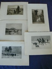 5 GRAVURES ANCIENNES : ANIMAUX