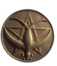 insigne INFANTERIE D'AFRIQUE -