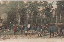 CPA 77 (Seine et Marne) FONTAINEBLEAU CHASSE A COURRE EN FORÊT / ANIMEE
